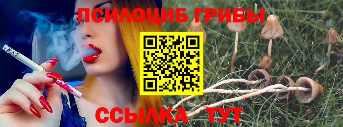 Галлюциногенные грибы Psilocybine cubensis Южноуральск