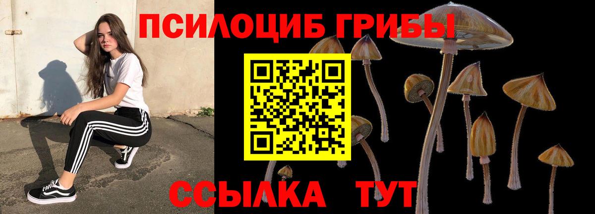 где найти   Галлюциногенные грибы Psilocybe  Вход с VPN  Псилоцибиновые грибы GOLDEN TEACHER  Южноуральск 